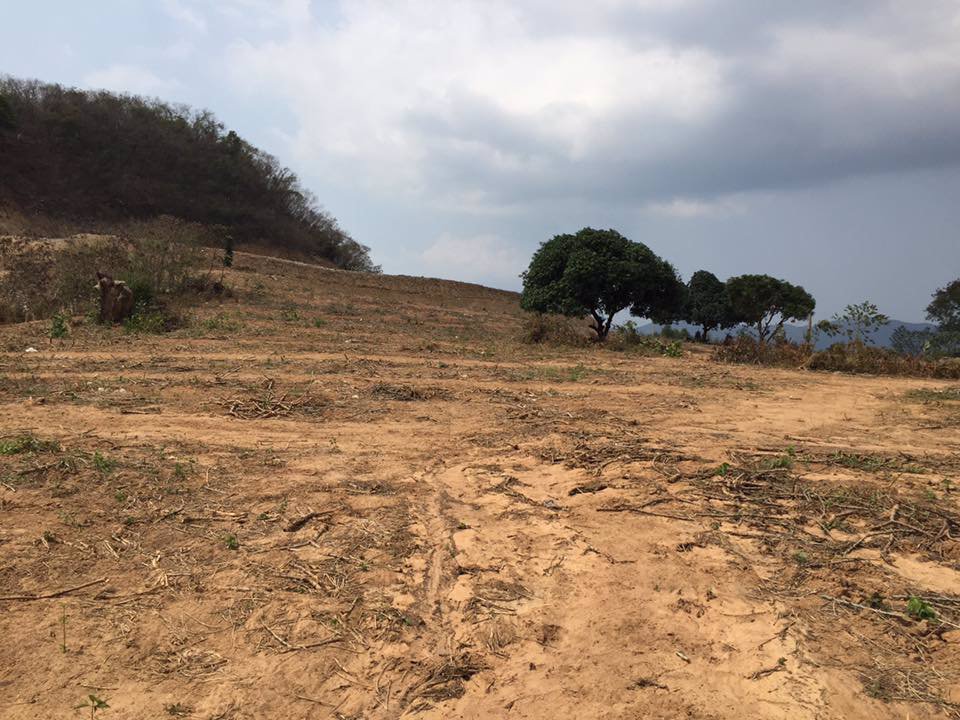 ที่ดินติดถนนลาดยาง-ราคาน่าตำ-ไร่ละ-28-ล้าน-7000-ต่อ-ตรว-