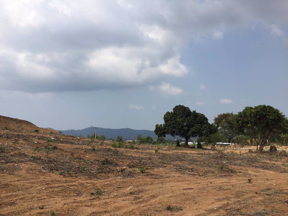 ที่ดินติดถนนลาดยาง-ราคาน่าตำ-ไร่ละ-28-ล้าน-7000-ต่อ-ตรว-