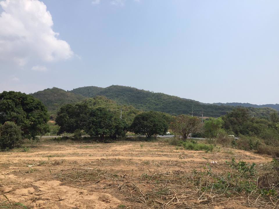 ที่ดินติดถนนลาดยาง-ราคาน่าตำ-ไร่ละ-28-ล้าน-7000-ต่อ-ตรว-