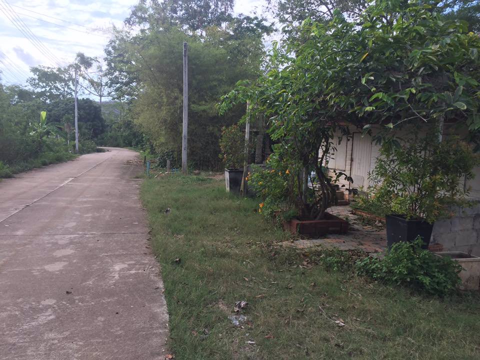 ขายที่ดิน-แถมบ้าน-1-หลัง-ใกล้ธรรมชาติ-บรรยากาศบ้านสวน