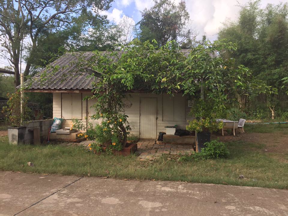 ขายที่ดิน-แถมบ้าน-1-หลัง-ใกล้ธรรมชาติ-บรรยากาศบ้านสวน