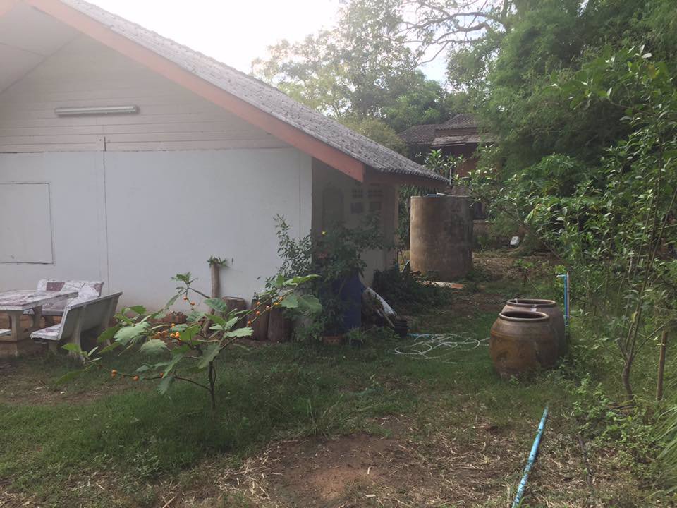 ขายที่ดิน-แถมบ้าน-1-หลัง-ใกล้ธรรมชาติ-บรรยากาศบ้านสวน