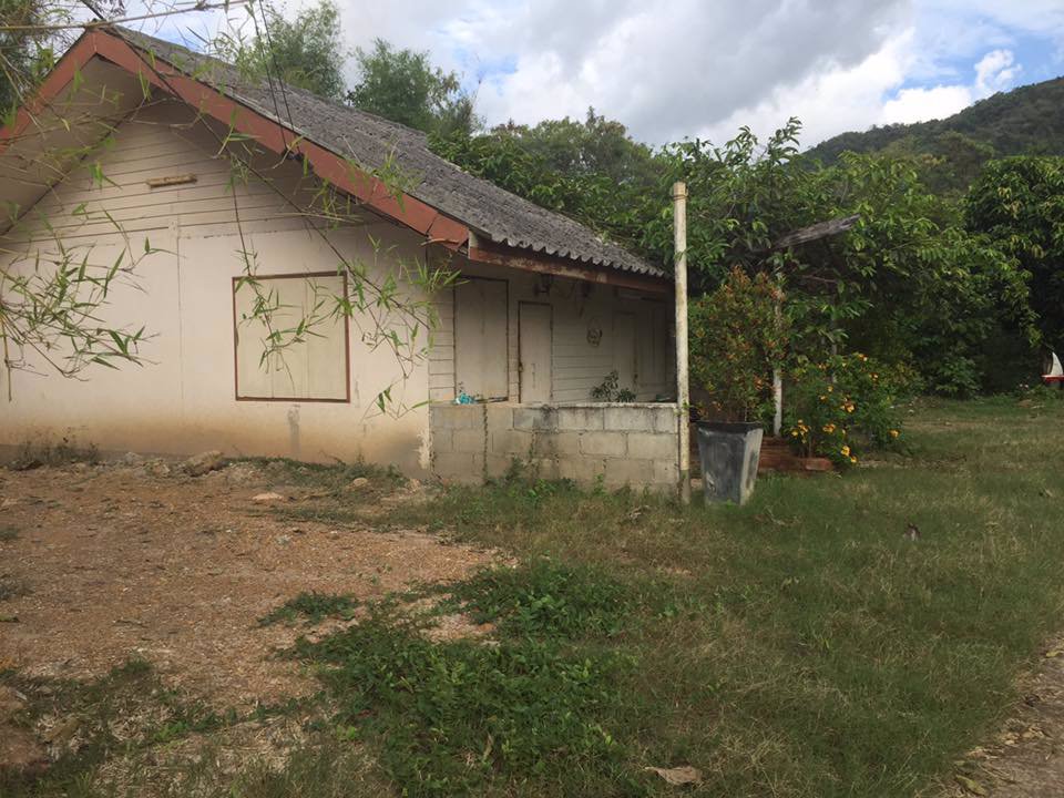 ขายที่ดิน-แถมบ้าน-1-หลัง-ใกล้ธรรมชาติ-บรรยากาศบ้านสวน