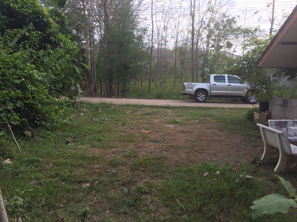 ขายที่ดิน-แถมบ้าน-1-หลัง-ใกล้ธรรมชาติ-บรรยากาศบ้านสวน