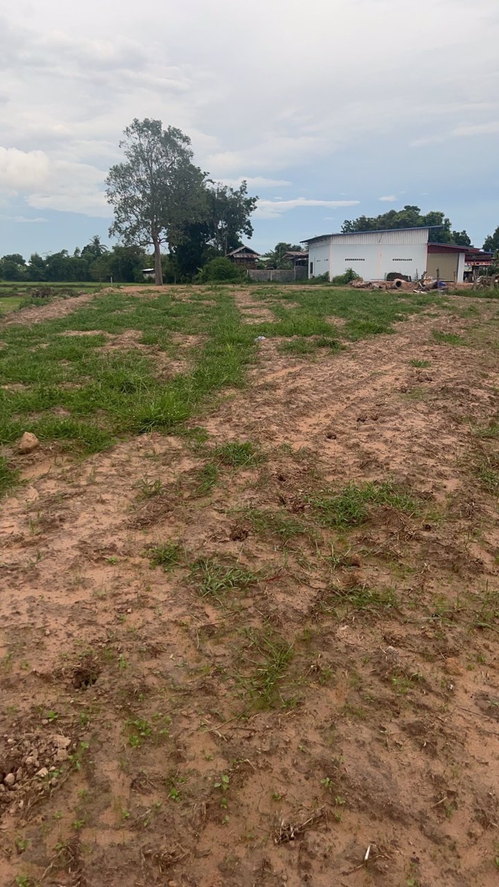 ขายที่ดิน-พร้อมโอน-ใกล้แหล่งชุมชน