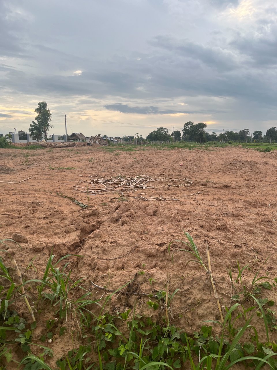 ขายที่ดิน-พร้อมโอน-ใกล้แหล่งชุมชน