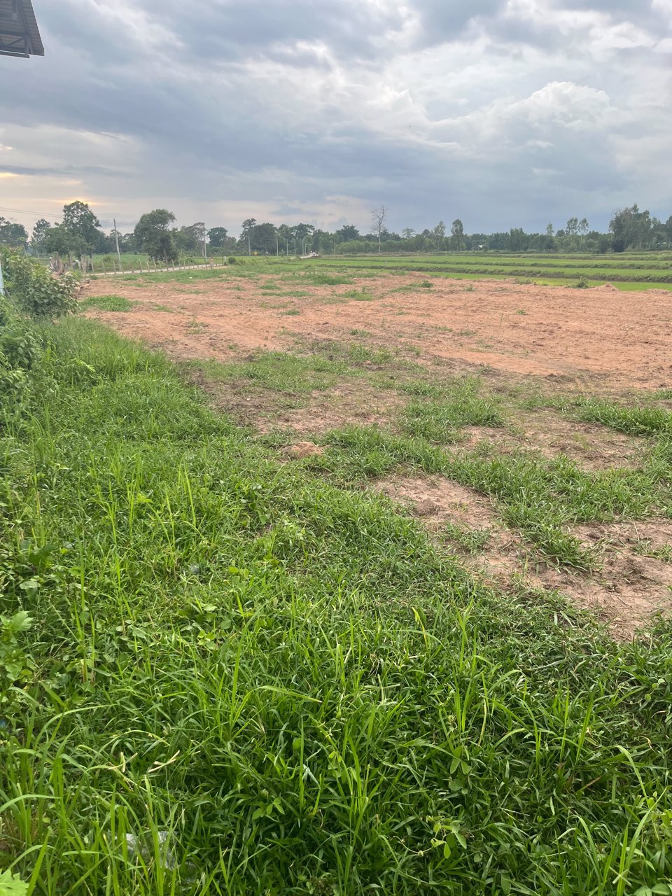 ขายที่ดิน-พร้อมโอน-ใกล้แหล่งชุมชน