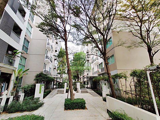 ให้เช่า-คอนโด-aspace-sukhumvit-77