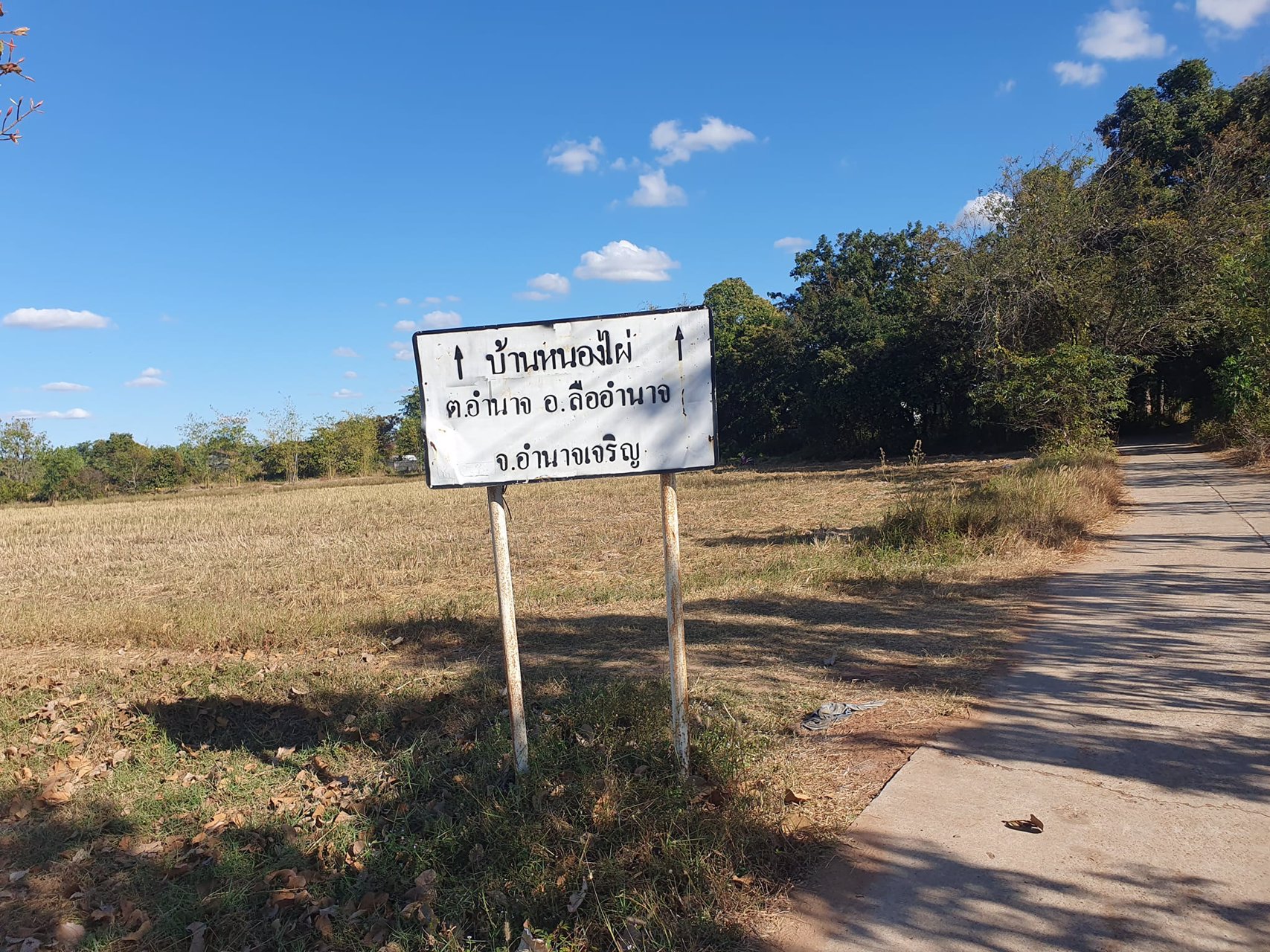 ขายที่นา-6-3-54-ไร่-ราคาไร่ละ150000-บาท