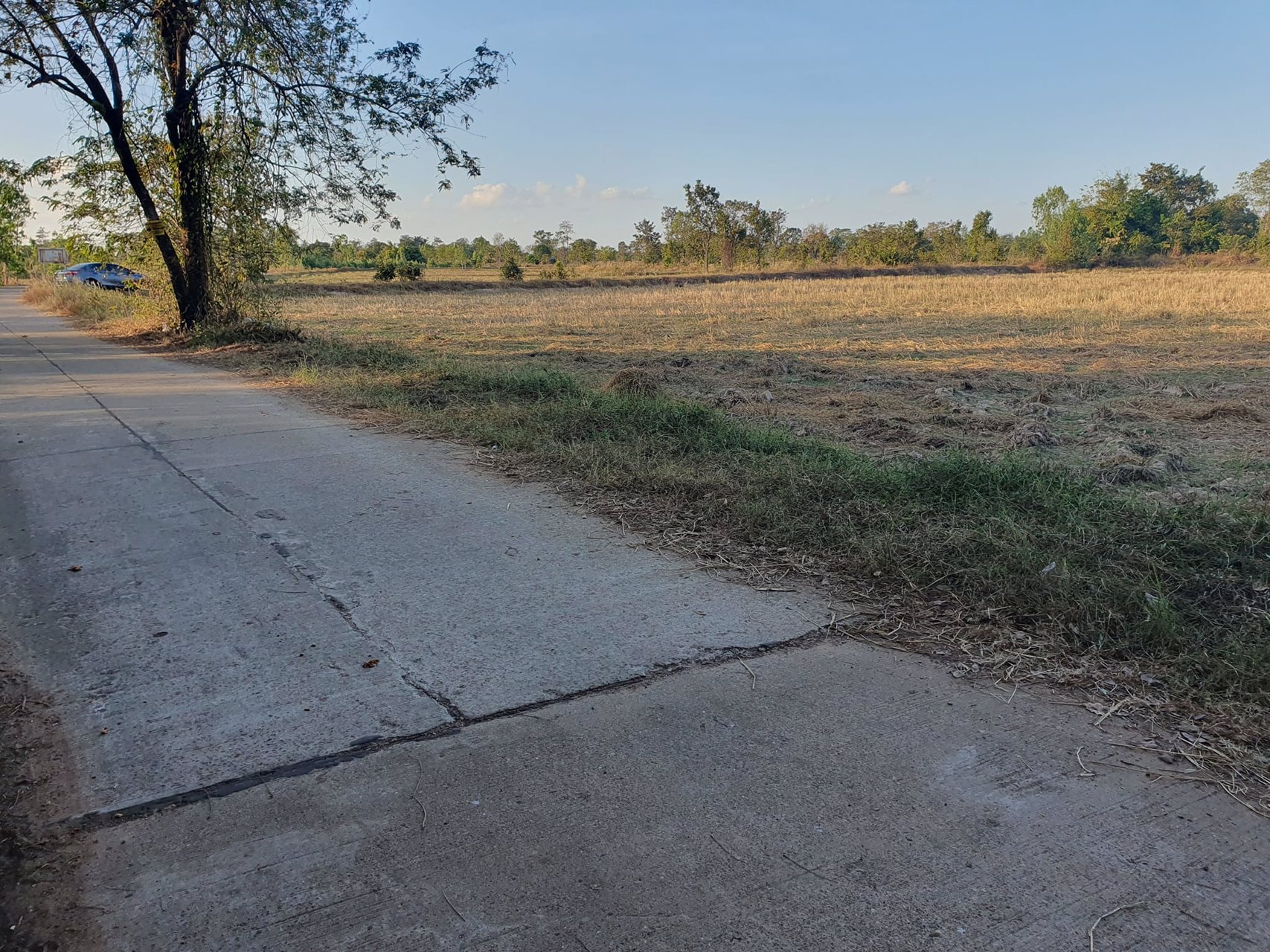 ขายที่นา-6-3-54-ไร่-ราคาไร่ละ150000-บาท