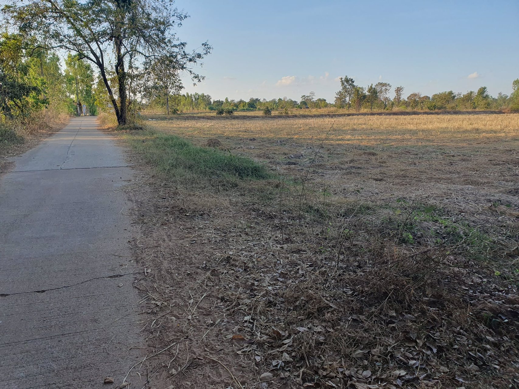 ขายที่นา-6-3-54-ไร่-ราคาไร่ละ150000-บาท