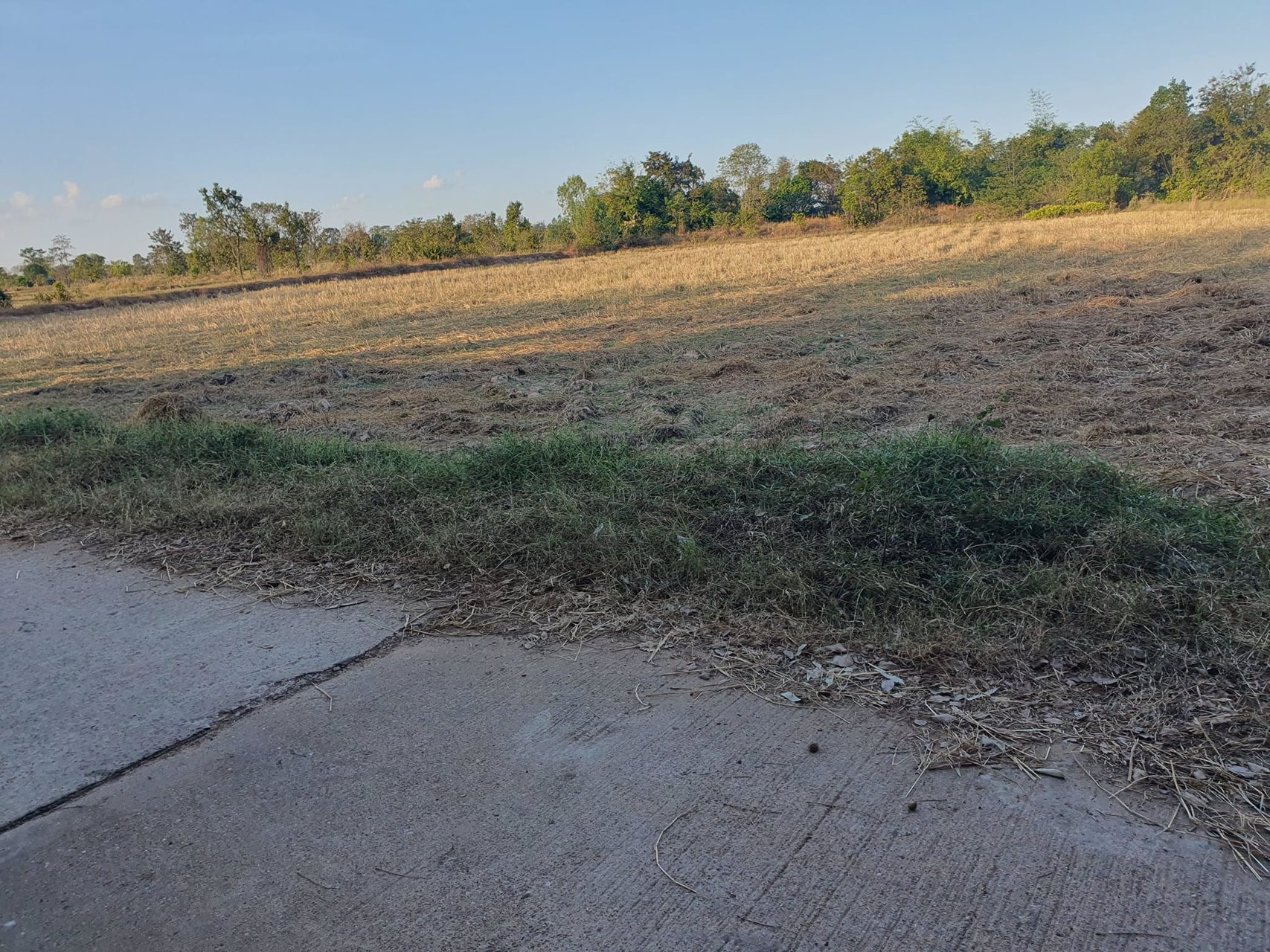 ขายที่นา-6-3-54-ไร่-ราคาไร่ละ150000-บาท