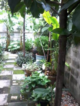 ให้เช่าทาวเฮ้าส์2ชั้นราคาถูก-สายไหม77