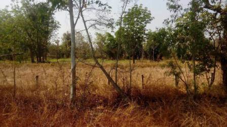 ขายที่ดินจังหวัดชัยภูมิ