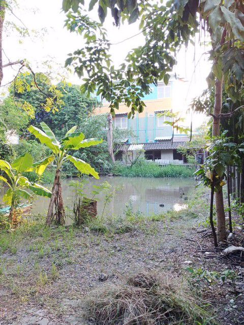 l407ขายด่วน-ที่ดินพร้อมโกดังและสำนักงาน-1-ไร่-3-งาน-ซอยรามอินทรา117-ใกล้รถไฟฟ้าสายสีชมพู-สถานีบางชัน