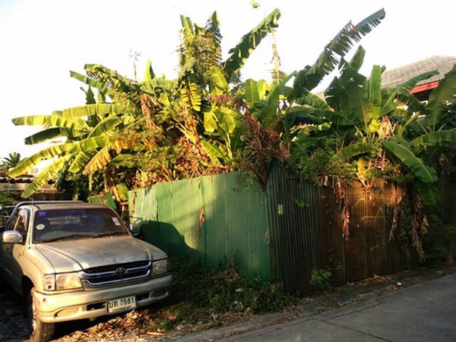 ขายที่ดินเปล่า-56-ตรว-ซอย-สังคมสงเคราะห์9-ลาดพร้าว71-ใกล้เลียบด่วนเอกมัย-รามอินทรา-ใกล้รถไฟฟ้า