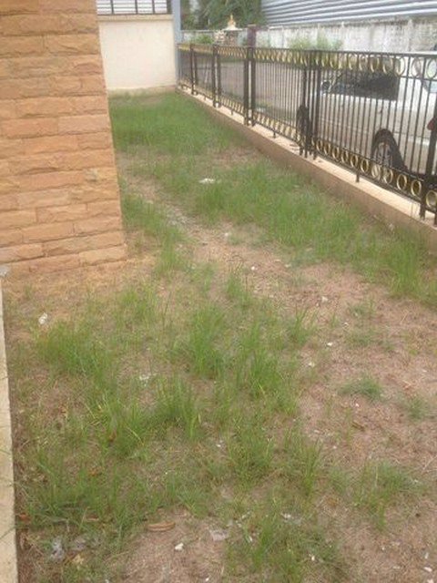 ขายบ้านเดี่ยวหลังมุม-67-ตรวพระยาสุเรนท์-22-รามอินทรา109-ใกล้-motorway-รถไฟฟ้า-สถานีบางชัน