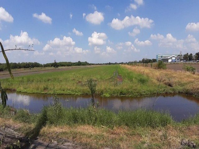 ขายที่ดิน-เกือบ-30ไร่-ติดถนนสุวินทวงศ์-ตรงข้าม-อบตนครเนื่องเขต-ติดโรงเรียนเบญจมฯ