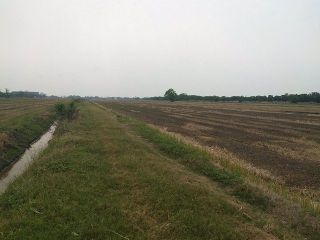 ขายที่ดิน-เกือบ-30ไร่-ติดถนนสุวินทวงศ์-ตรงข้าม-อบตนครเนื่องเขต-ติดโรงเรียนเบญจมฯ