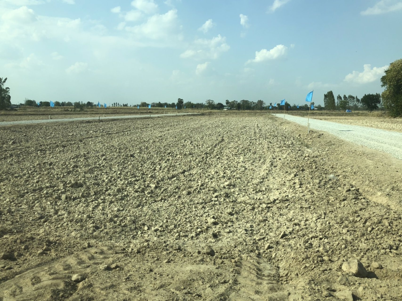 ขายที่ดินเปล่า-แปลงละ-80-100-ตรว-สุพรรณบุรี