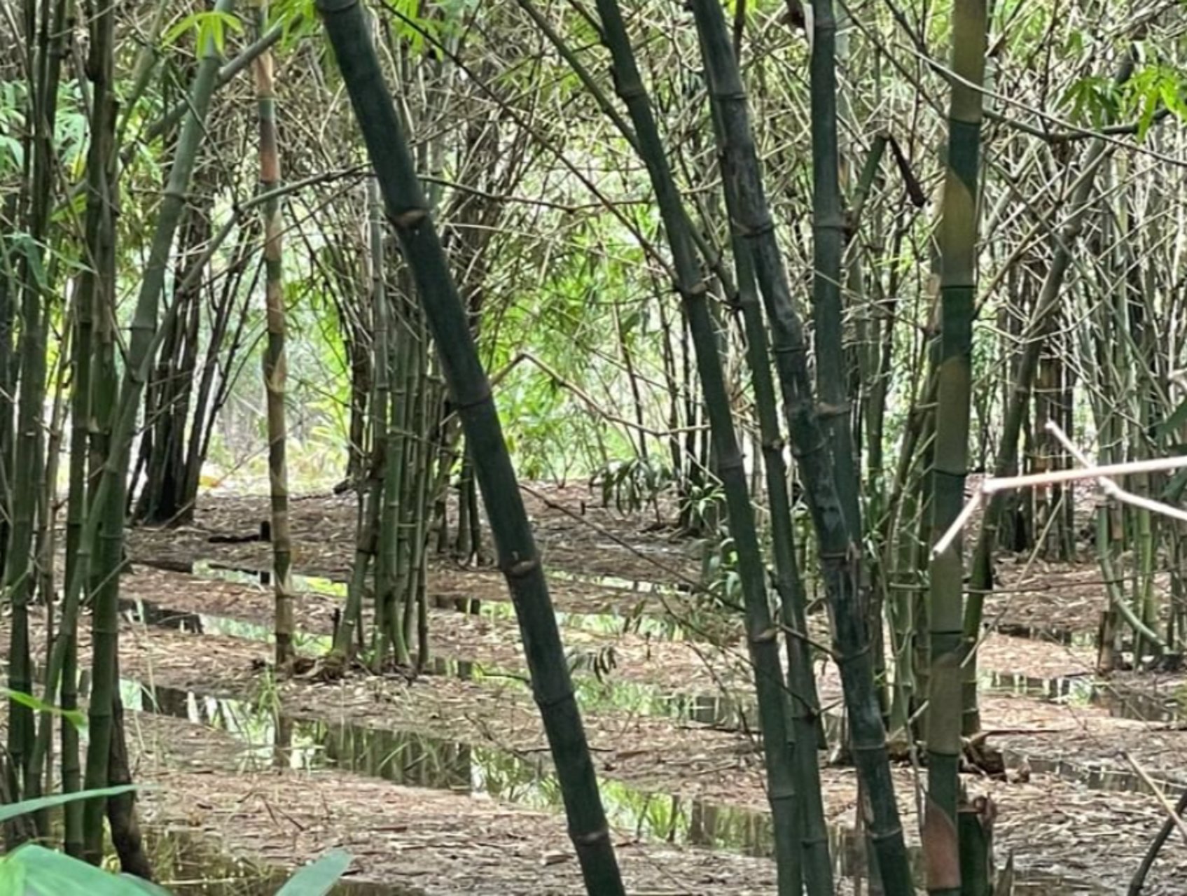 ขายด่วน-ขายถูก-ที่ดินติดน้ำในสนามกอล์ฟ