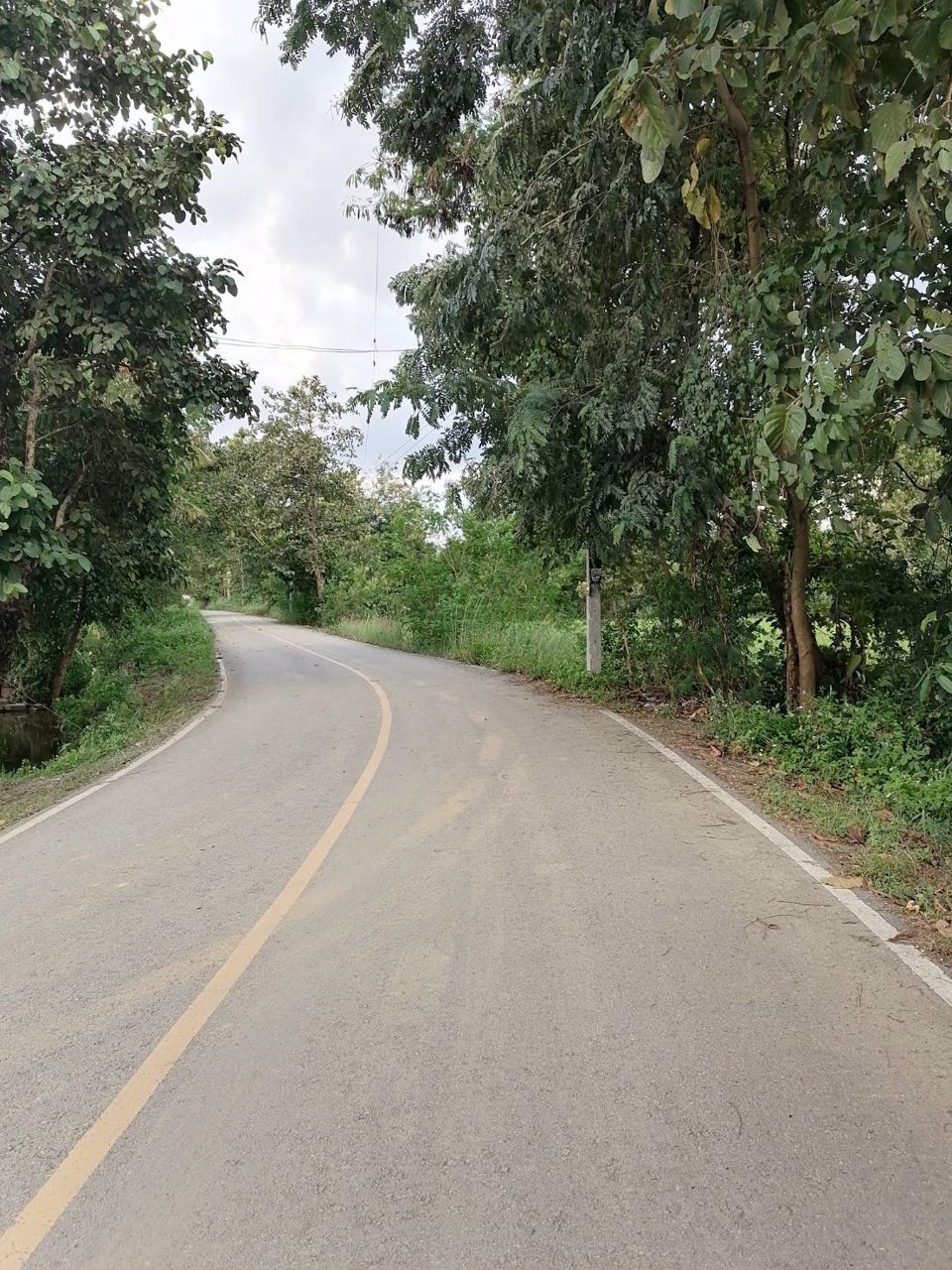 ขายที่ดินบ้านป่าสักน้อย-ซอย7-ตเชิงดอย-อดอยสะเก็ด-จเชียงใหม่