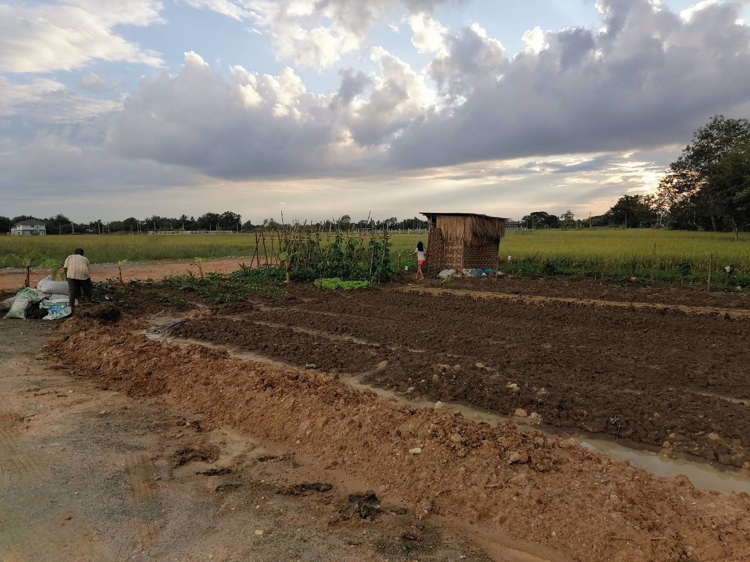 ขายที่ดินบ้านป่าสักน้อย-ซอย7-ตเชิงดอย-อดอยสะเก็ด-จเชียงใหม่