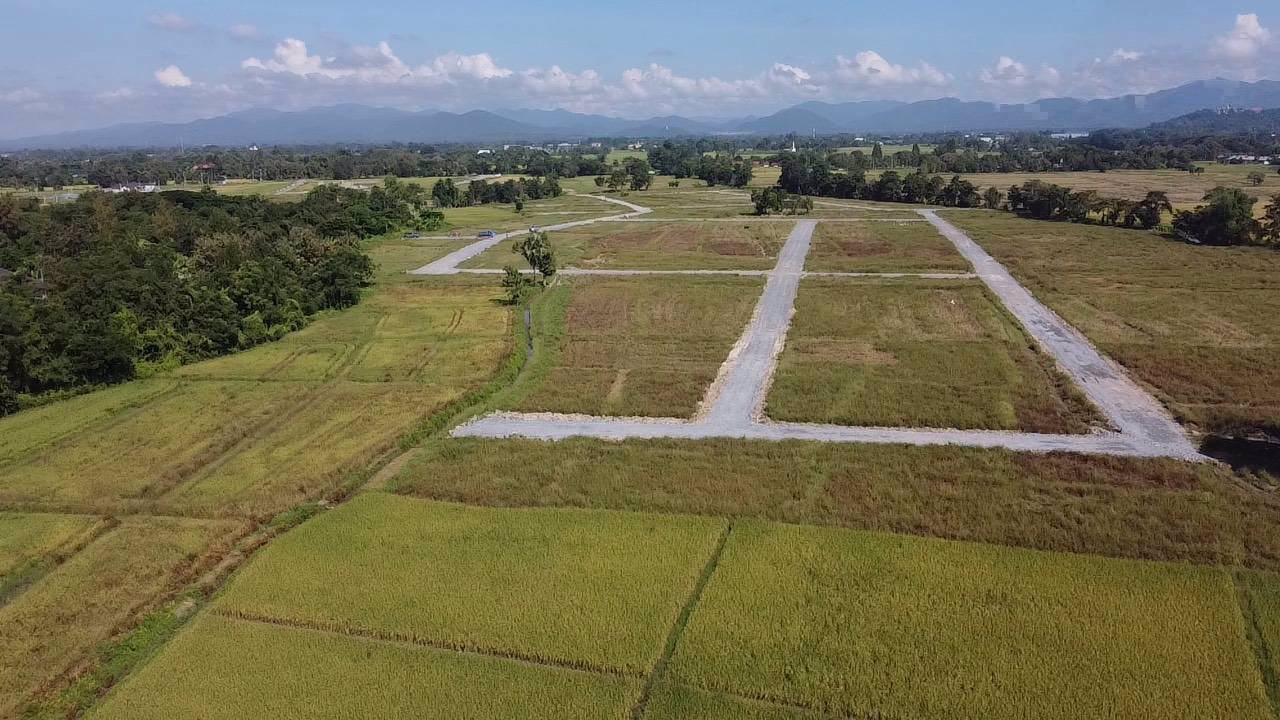 ขายที่ดินบ้านป่าสักน้อย-ซอย7-ตเชิงดอย-อดอยสะเก็ด-จเชียงใหม่