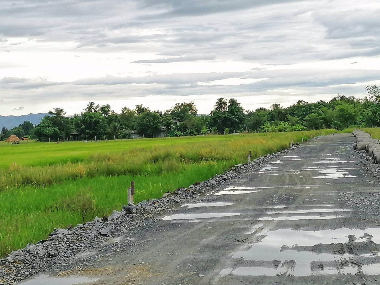 ขายที่ดินบ้านป่าสักน้อย-ซอย7-ตเชิงดอย-อดอยสะเก็ด-จเชียงใหม่