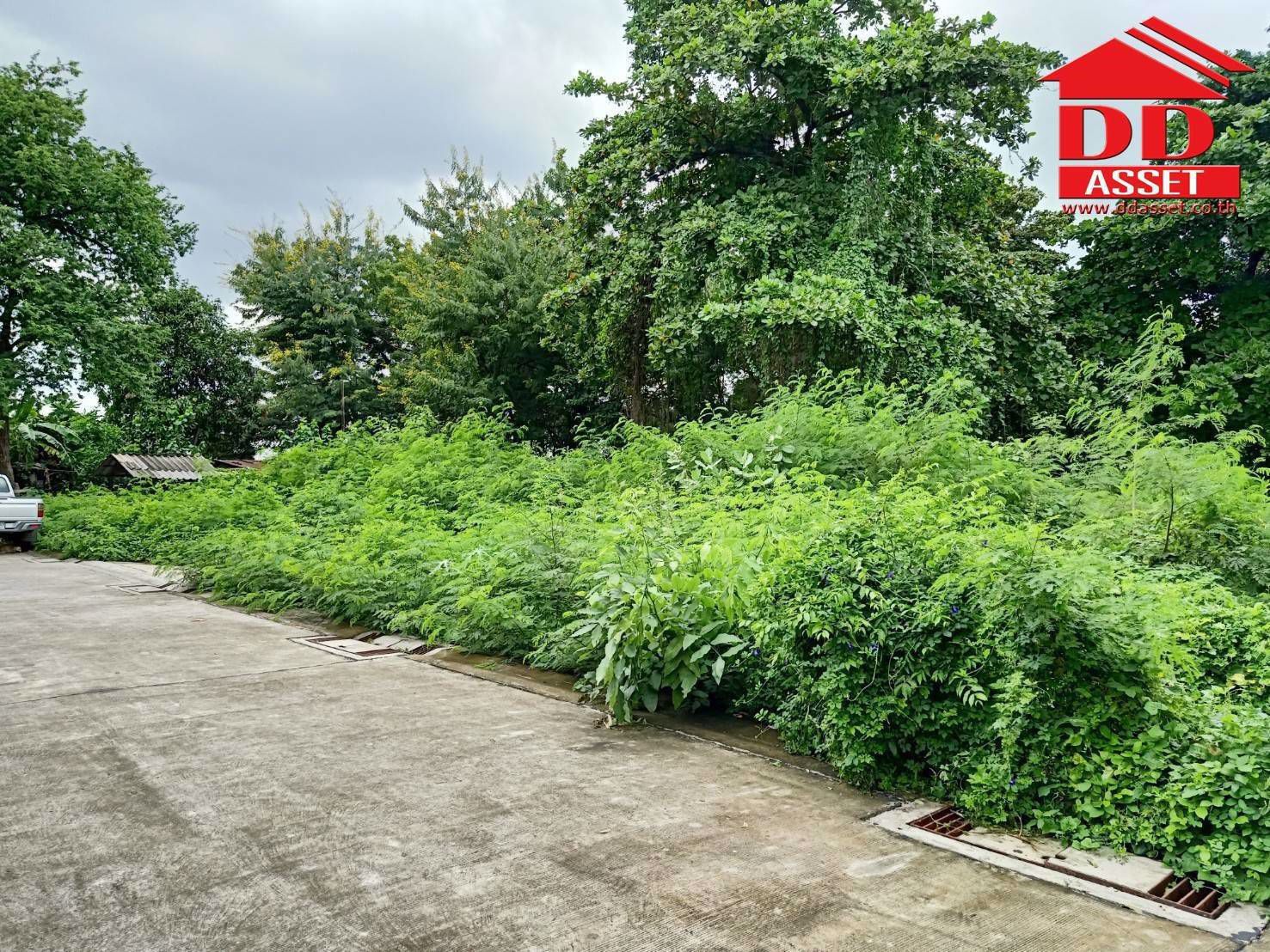 ขายด่วนที่ดินเปล่ามีนบุรี-ตรงข้ามตลาดมีน