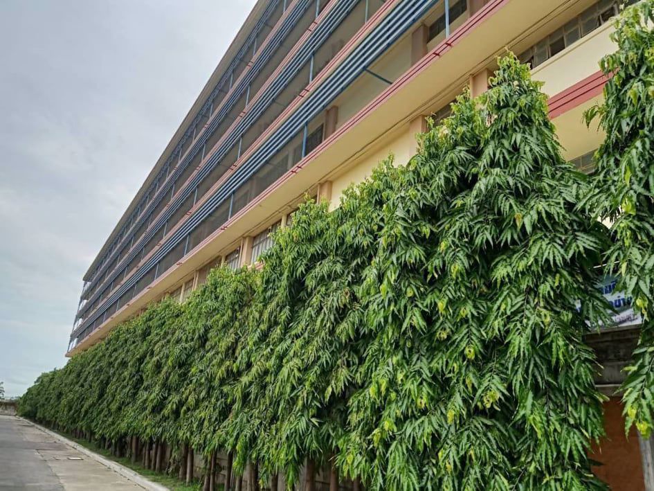 บ้านเดี่ยว-หมู่บ้าน-เคซีเลควิว-วิวทะเลสาป-ทำเลดี-บ้านพร้อมอยู่-ซอยรามคำแหง-118