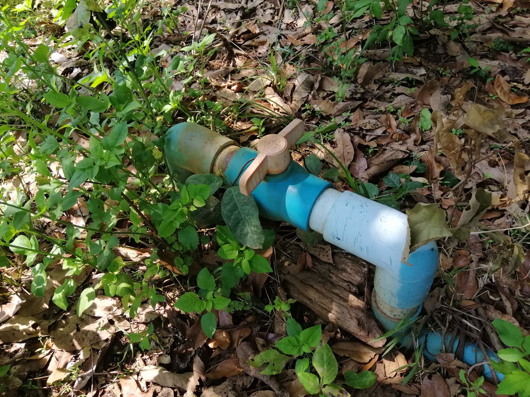 สวนลำไยโฉนด-ไร่ละ-169000-น้ำ-ไฟถึง-ใกล้ทางหลวง-ใกล้ชุมชน-รถยนต์เข้าถึง-เจ้าของขายเอง