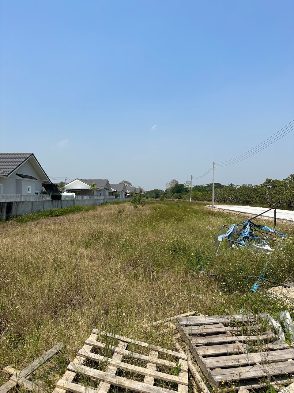 ขายบ้านพร้อมที่ดิน-เปิดให้จองแล้ววันนี้-ธนิศาโฮม-ท่าวังตาล-สารภี-ที่ดินราคา-449000-บาท