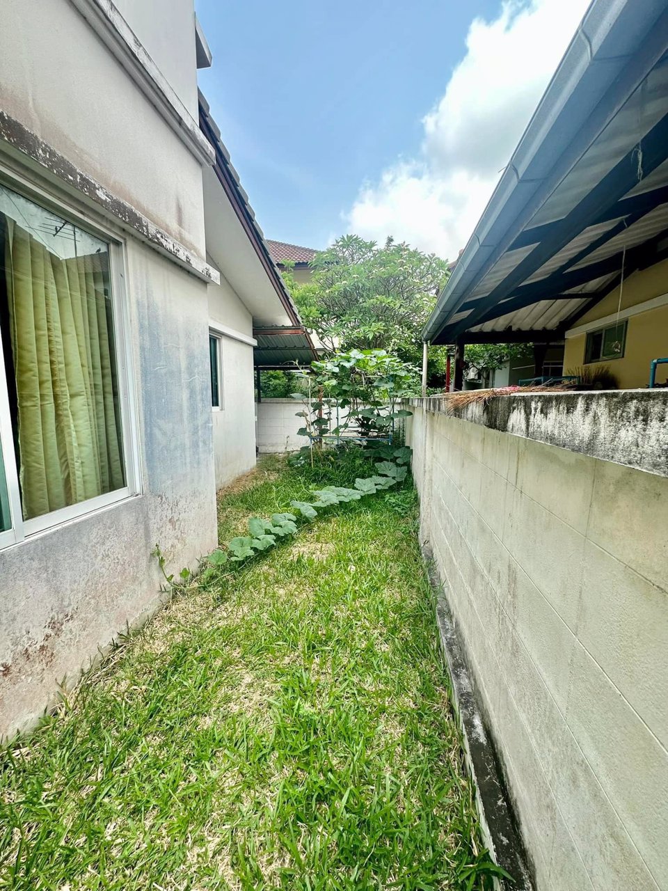 ขายด่วน-บ้านเดี่ยวหลังใหญ่-100-ตรว