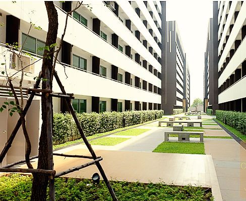 ขายห้องเปล่า-ห้องใหม่-plum-condo-พหลฯ89-เฟส3-ใกล้-มรังสิต-อยู่เองก็ได้ปล่อยเช่าก็ดี-เพียง850000