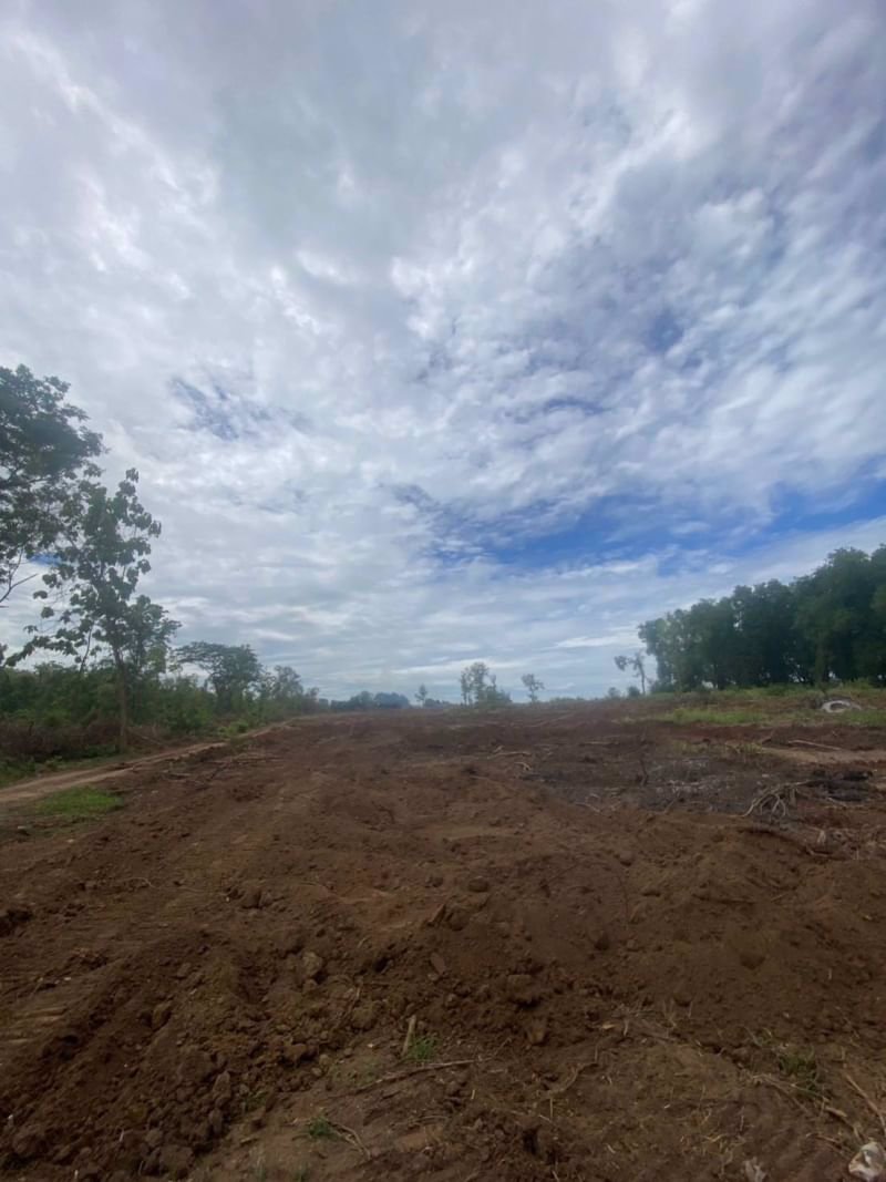 ขายที่ดิน-เนื้อที่-5ไร่-ติดทางหลวงกม7
