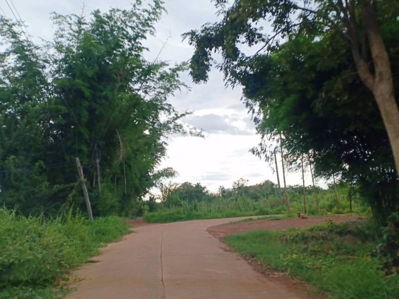 ขายที่ดิน1ไร่-ราคาไร่ละ-290000บาท