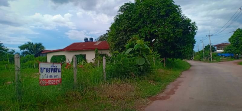 ขายที่ดิน1ไร่-ราคาไร่ละ-290000บาท