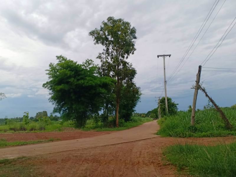 ขายที่ดิน1ไร่-ราคาไร่ละ-290000บาท