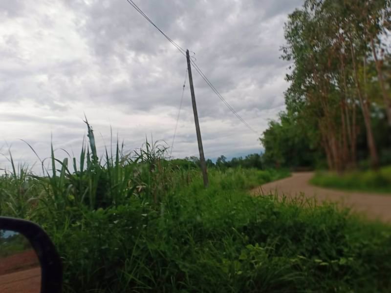 ขายที่ดิน1ไร่-ราคาไร่ละ-290000บาท