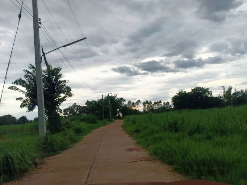 ขายที่ดิน1ไร่-ราคาไร่ละ-290000บาท