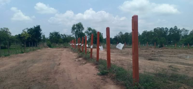 ขายที่ดิน-200-ตรว-ราคา390000บาท