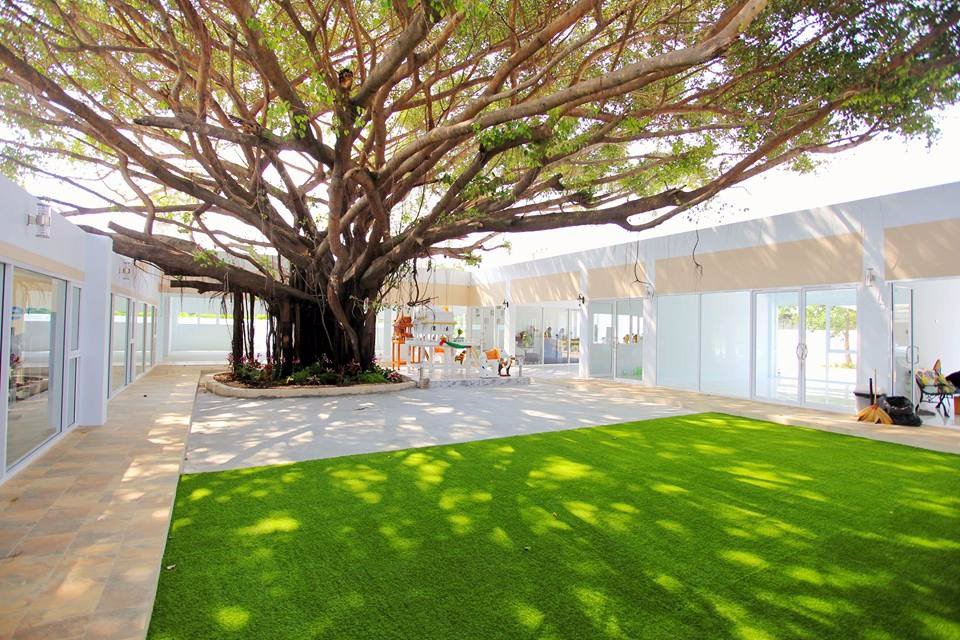 สำนักงานให้เช่า-มาบตาพุด-ถสุขุมวิท-44-โครงการ-banyan-44-ใหม่-สวย-ลดค่าเช่า-30-