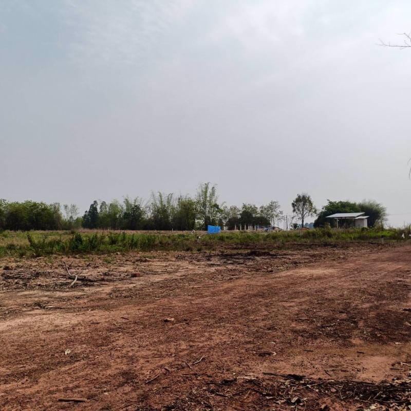 ขายที่ดินทำบ้าน-แปลง-2ไร่-3งาน-16ตรว