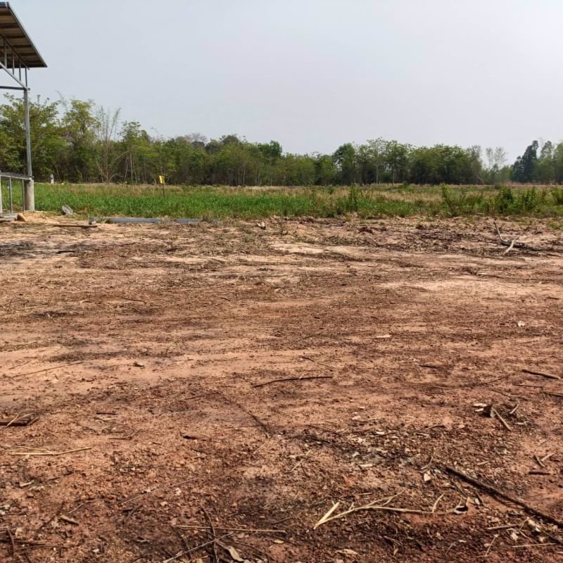 ขายที่ดินทำบ้าน-แปลง-2ไร่-3งาน-16ตรว