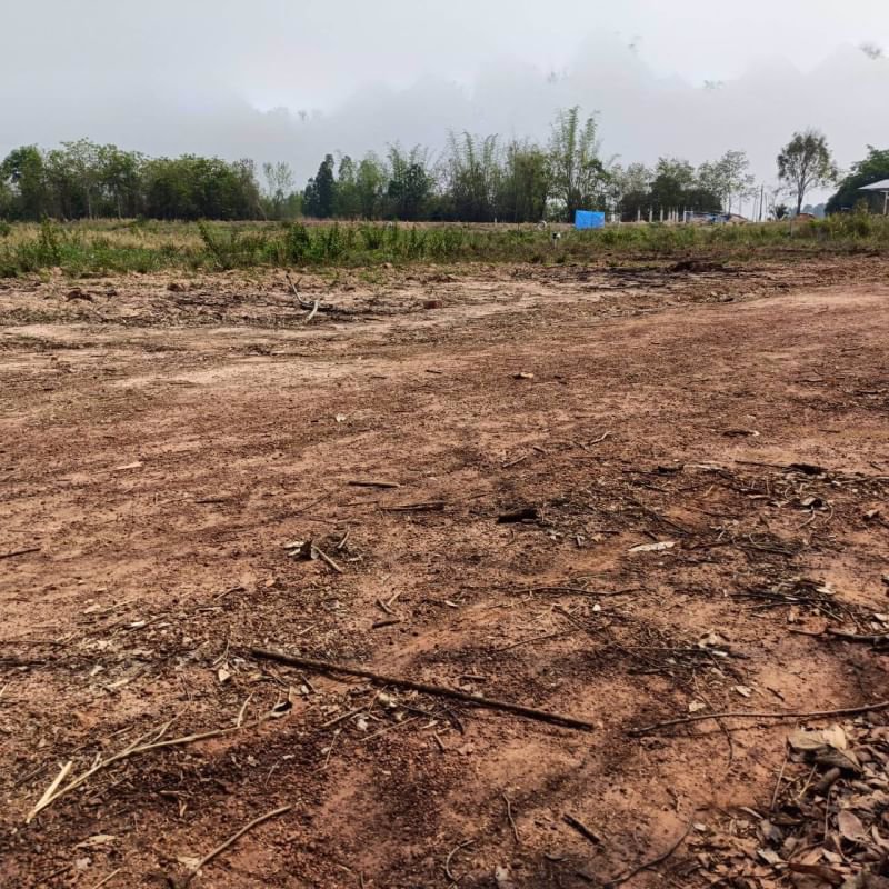 ขายที่ดินทำบ้าน-แปลง-2ไร่-3งาน-16ตรว