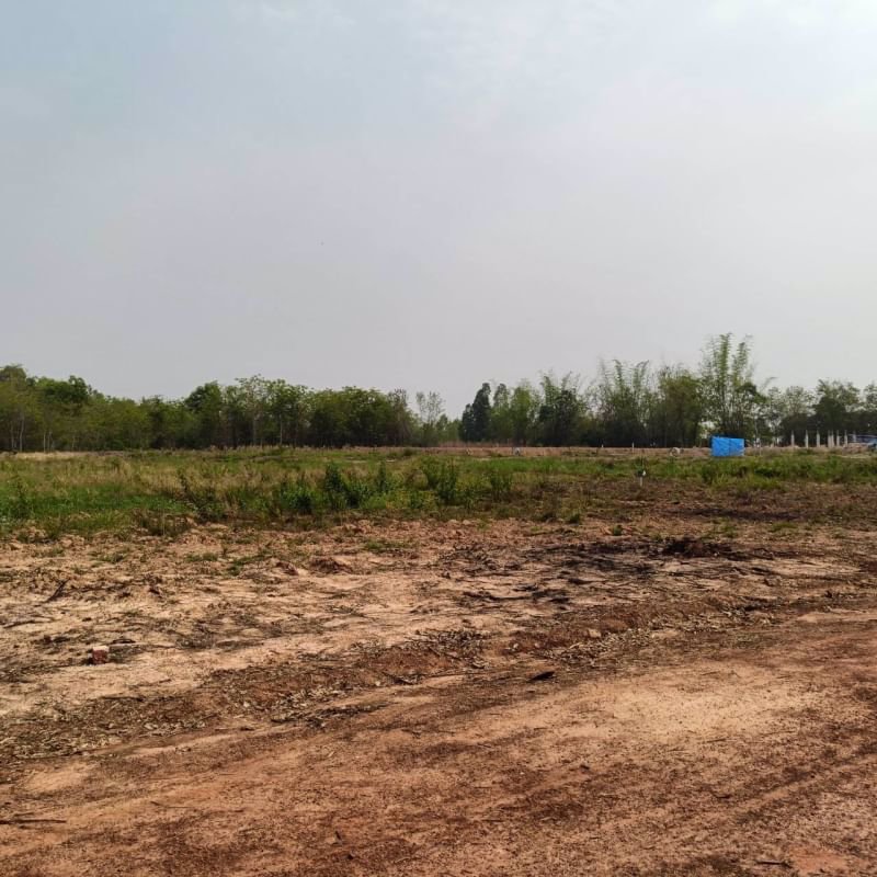 ขายที่ดินทำบ้าน-แปลง-2ไร่-3งาน-16ตรว