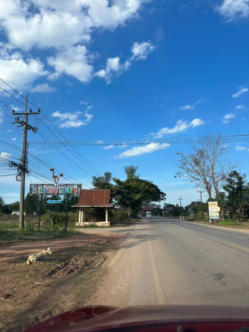 ขายบ้านพร้อมที่ดินบ้านผักบุ้ง-53ตรวโฉนด-ติดถนนคอนกรีต2ด้าน