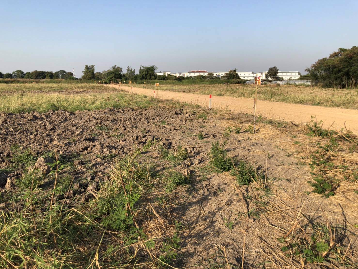 ขายที่ดินสำเร็จรูปโซนบางใหญ่