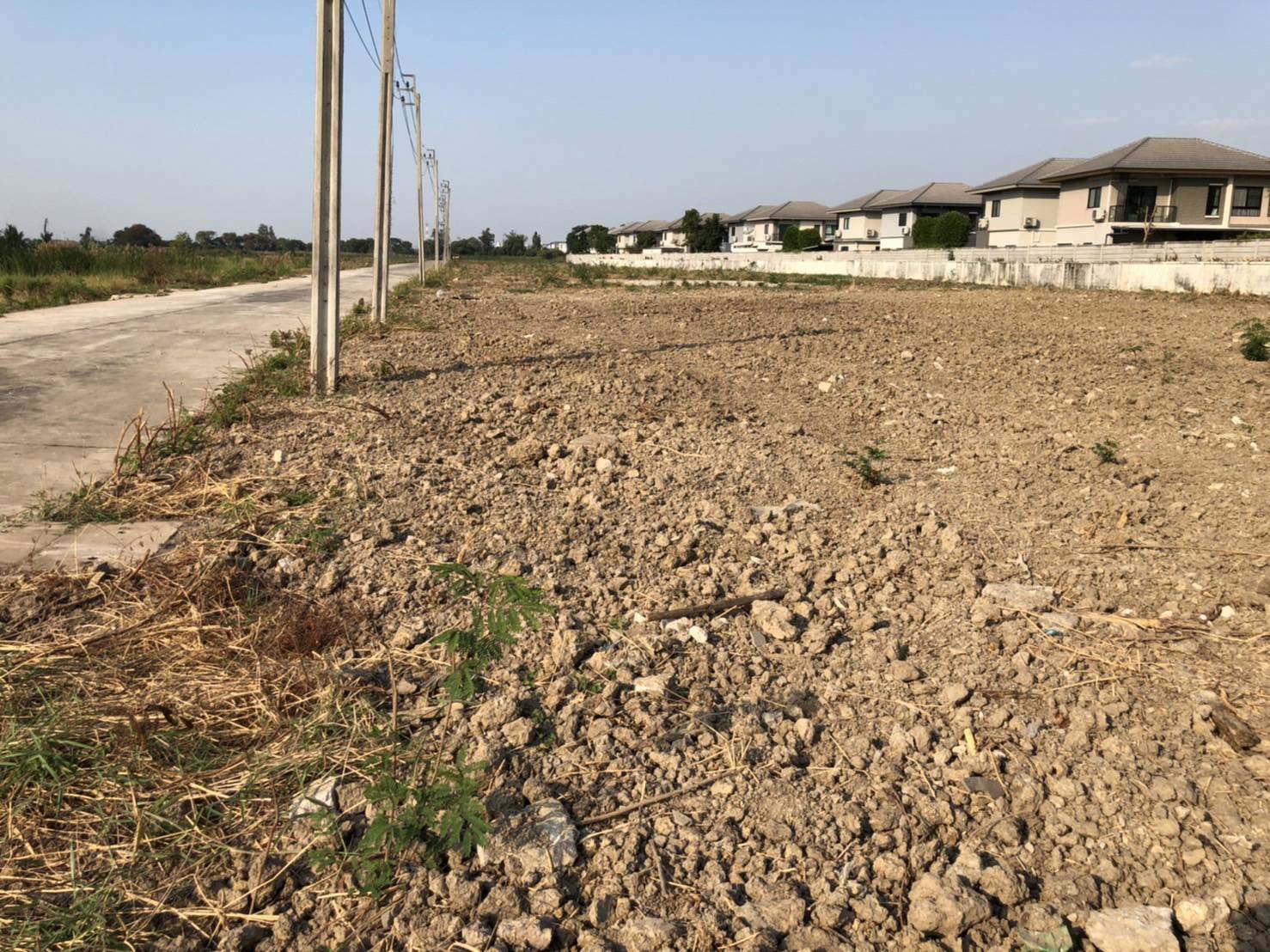 ขายที่ดินสำเร็จรูปโซนบางใหญ่